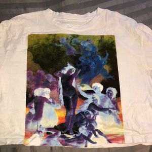 True religion crop top